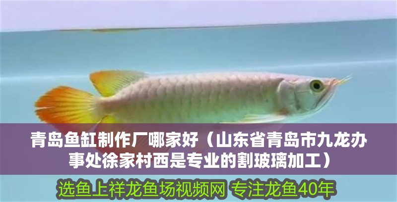 青島魚缸制作廠哪家好（山東省青島市九龍辦事處徐家村西是專業(yè)的割玻璃加工）
