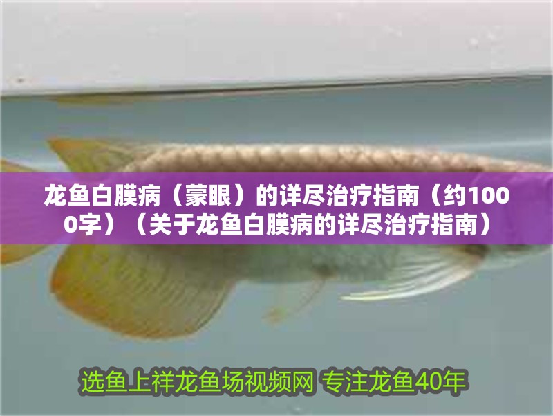龍魚白膜病（蒙眼）的詳盡治療指南（約1000字）（關于龍魚白膜病的詳盡治療指南）