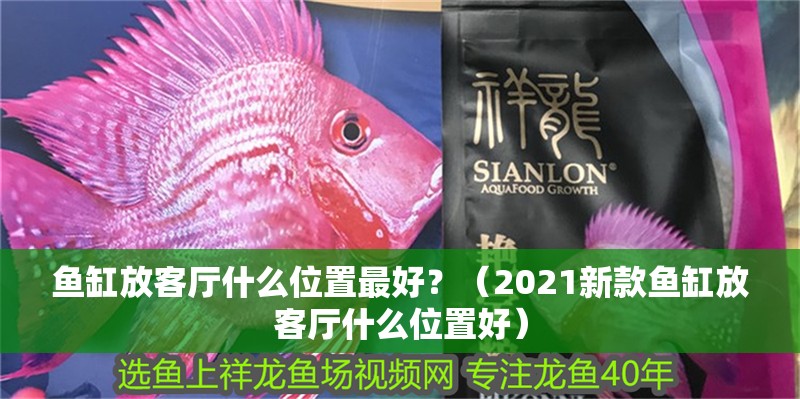 魚缸放客廳什么位置最好？（2021新款魚缸放客廳什么位置好）