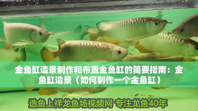 金魚缸造景制作和布置金魚缸的簡要指南：金魚缸造景（如何制作一個金魚缸）