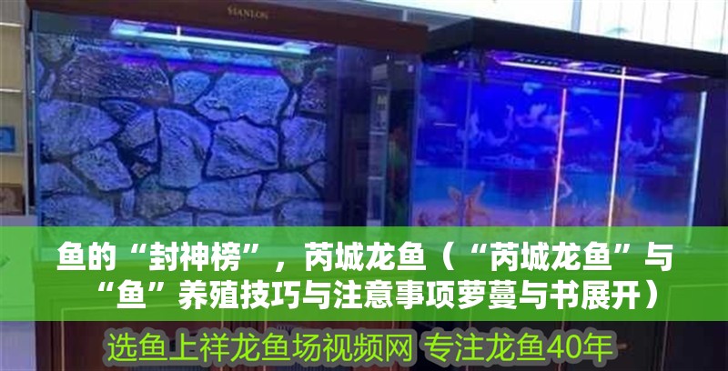 魚的“封神榜”，芮城龍魚（“芮城龍魚”與“魚”養(yǎng)殖技巧與注意事項(xiàng)蘿蔓與書展開）