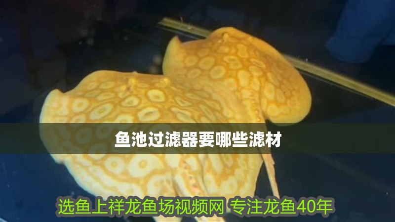 魚池過濾器要哪些濾材