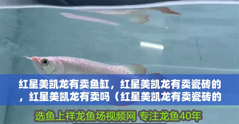 紅星美凱龍有賣魚缸，紅星美凱龍有賣瓷磚的，紅星美凱龍有賣嗎（紅星美凱龍有賣瓷磚的嗎）