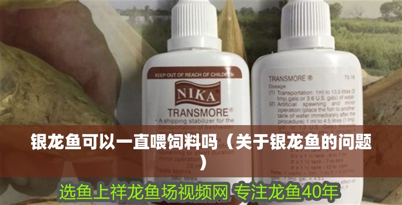 銀龍魚可以一直喂飼料嗎（關于銀龍魚的問題）