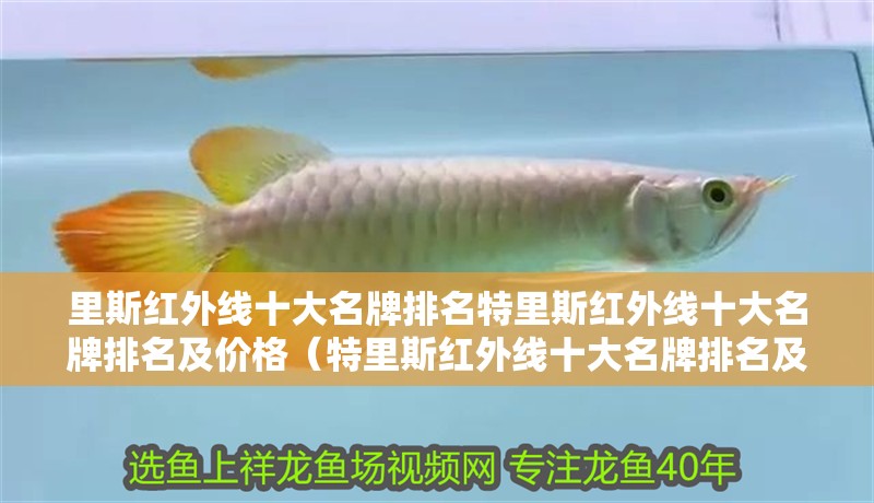 里斯紅外線十大名牌排名特里斯紅外線十大名牌排名及價(jià)格（特里斯紅外線十大名牌排名及其對應(yīng)的價(jià)格）