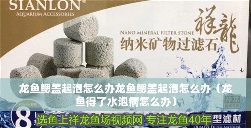 龍魚鰓蓋起泡怎么辦龍魚鰓蓋起泡怎么辦（龍魚得了水泡病怎么辦）