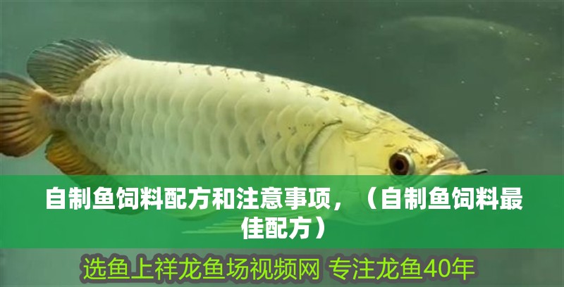 自制魚飼料配方和注意事項(xiàng)，（自制魚飼料最佳配方）