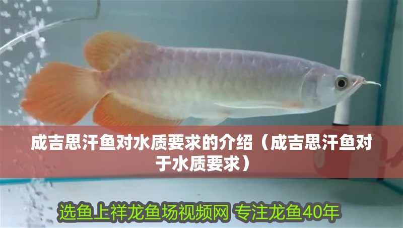 成吉思汗魚對水質(zhì)要求的介紹（成吉思汗魚對于水質(zhì)要求）