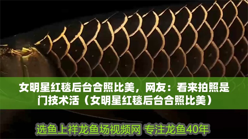 女明星紅毯后臺合照比美，網友：看來拍照是門技術活（女明星紅毯后臺合照比美）