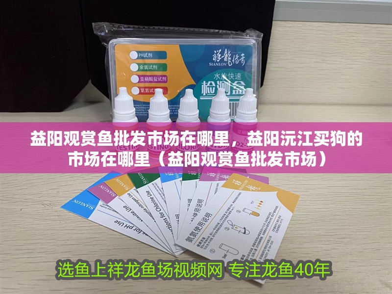 益陽觀賞魚批發(fā)市場在哪里，益陽沅江買狗的市場在哪里（益陽觀賞魚批發(fā)市場）
