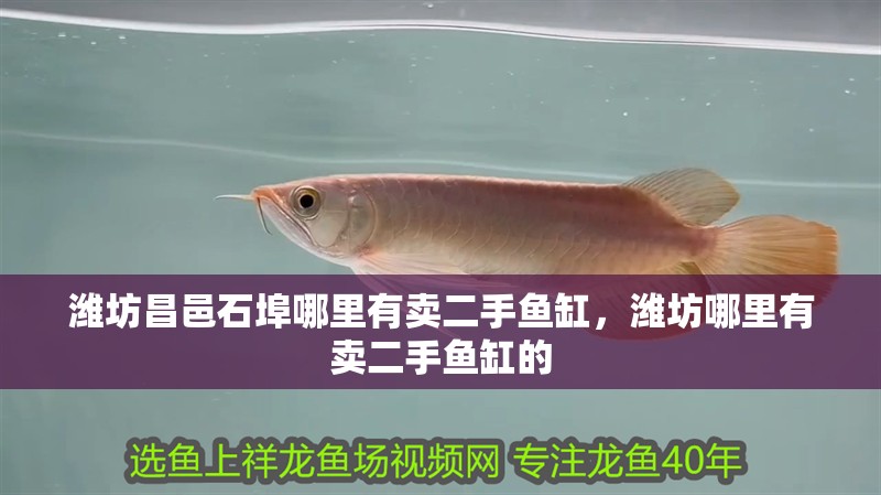 濰坊昌邑石埠哪里有賣二手魚缸，濰坊哪里有賣二手魚缸的