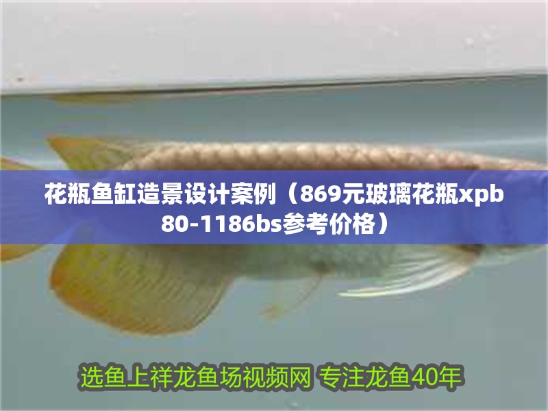 花瓶魚缸造景設計案例（869元玻璃花瓶xpb80-1186bs參考價格）