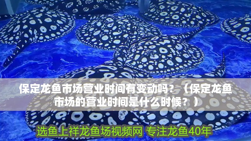 保定龍魚市場營業時間有變動嗎？（保定龍魚市場的營業時間是什么時候？）