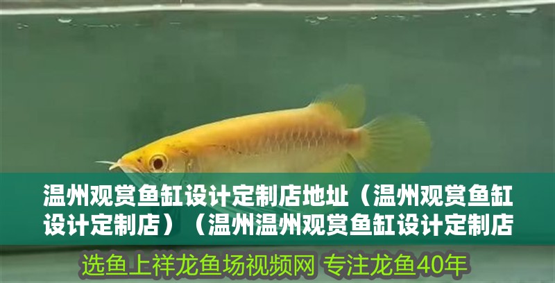 溫州觀賞魚缸設計定制店地址（溫州觀賞魚缸設計定制店）（溫州溫州觀賞魚缸設計定制店地址）