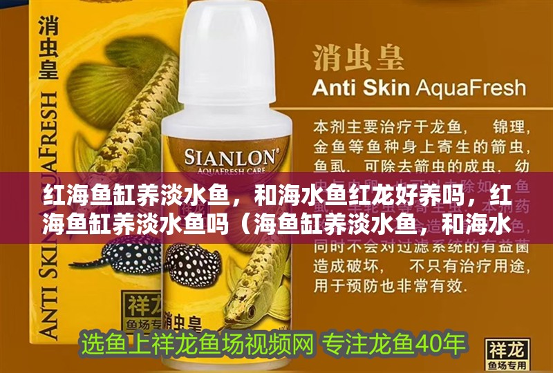 紅海魚缸養(yǎng)淡水魚，和海水魚紅龍好養(yǎng)嗎，紅海魚缸養(yǎng)淡水魚嗎（海魚缸養(yǎng)淡水魚，和海水魚紅龍好養(yǎng)嗎對應(yīng)的相關(guān)信息）
