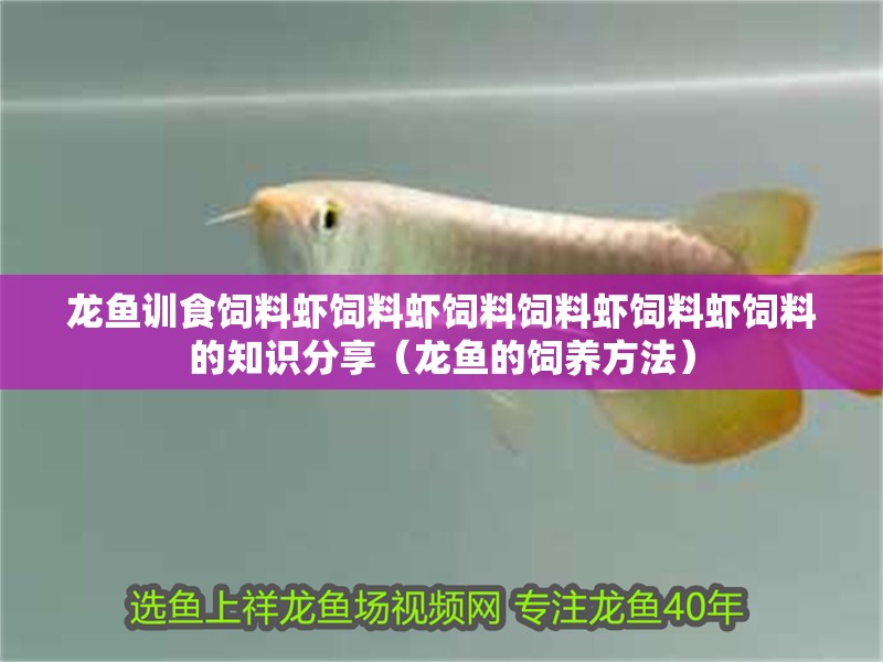 龍魚訓食飼料蝦飼料蝦飼料飼料蝦飼料蝦飼料的知識分享（龍魚的飼養方法）