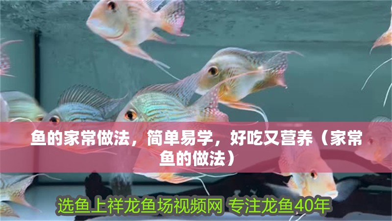 魚的家常做法，簡單易學，好吃又營養（家常魚的做法）