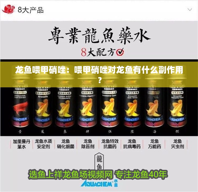 龍魚喂甲硝唑：喂甲硝唑對龍魚有什么副作用？