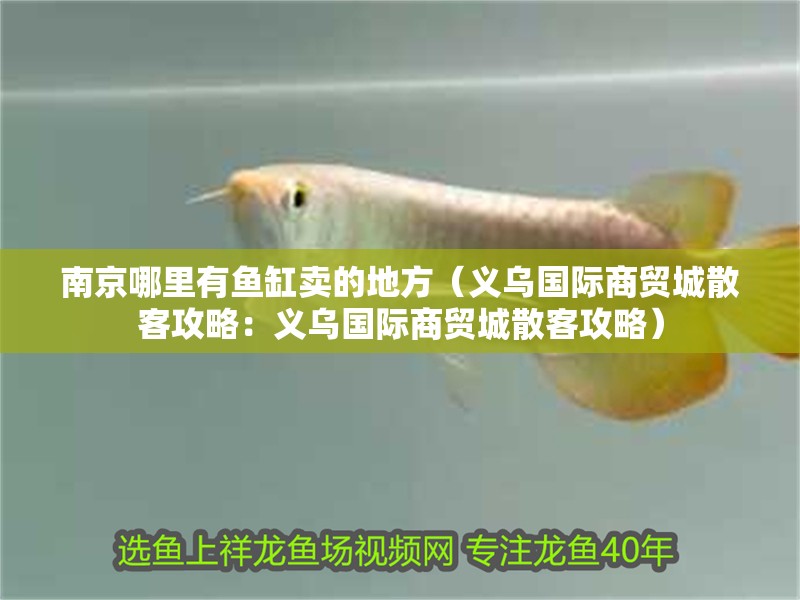 <strong><mark>南京</mark></strong>哪里有魚缸賣的地方（義烏國際商貿(mào)城散客攻略：義烏國際商貿(mào)城散客攻略）