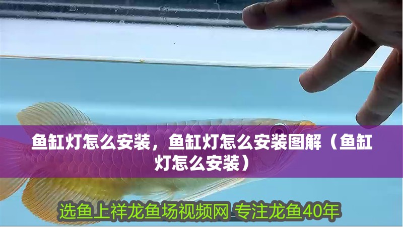 魚缸燈怎么安裝，魚缸燈怎么安裝圖解（魚缸燈怎么安裝）