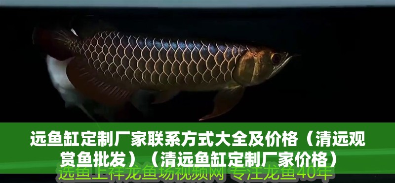 遠(yuǎn)魚缸定制廠家聯(lián)系方式大全及價(jià)格（清遠(yuǎn)觀賞魚批發(fā)）（清遠(yuǎn)魚缸定制廠家價(jià)格）