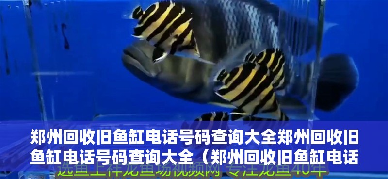 鄭州回收舊魚缸電話號碼查詢大全鄭州回收舊魚缸電話號碼查詢大全（鄭州回收舊魚缸電話號碼查詢大全）