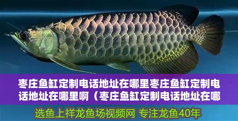 棗莊魚缸定制電話地址在哪里棗莊魚缸定制電話地址在哪里啊（棗莊魚缸定制電話地址在哪里）
