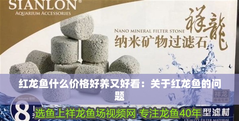 紅龍魚什么價格好養(yǎng)又好看：關(guān)于紅龍魚的問題