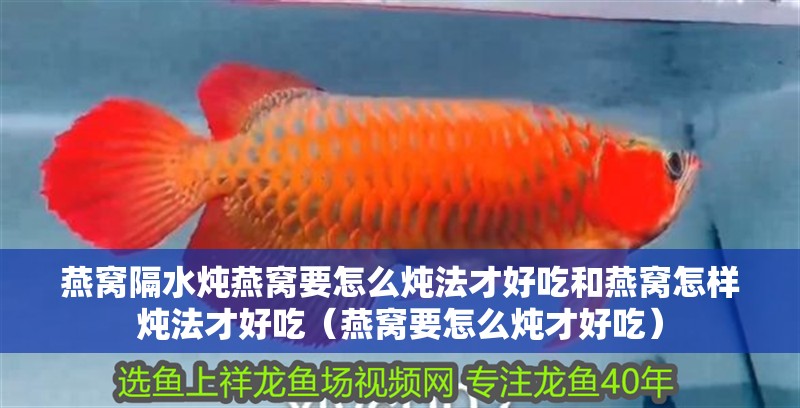 燕窩隔水燉燕窩要怎么燉法才好吃和燕窩怎樣燉法才好吃（燕窩要怎么燉才好吃）