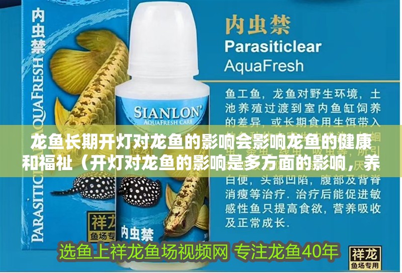 龍魚長期開燈對龍魚的影響會影響龍魚的健康和福祉（開燈對龍魚的影響是多方面的影響，養護龍魚的正常飼養）