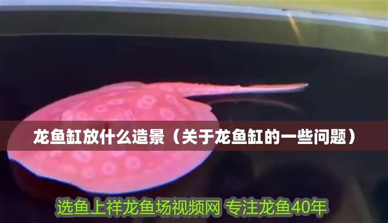 龍魚缸放什么造景（關(guān)于龍魚缸的一些問題）