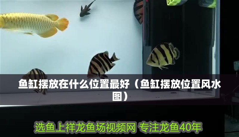 魚缸擺放在什么位置最好（魚缸擺放位置風水圖）