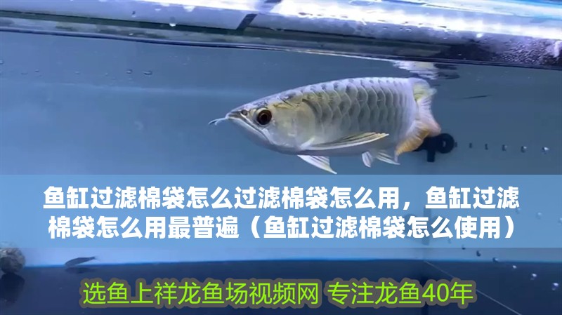 魚缸過濾棉袋怎么過濾棉袋怎么用，魚缸過濾棉袋怎么用最普遍（魚缸過濾棉袋怎么使用）