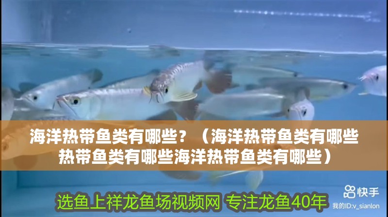 海洋熱帶魚類有哪些？（海洋熱帶魚類有哪些熱帶魚類有哪些海洋熱帶魚類有哪些）
