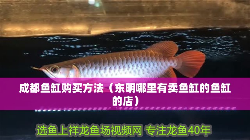 <strong><mark>成都</mark></strong>魚缸購買方法（東明哪里有賣魚缸的魚缸的店）