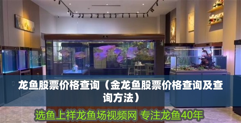 龍魚股票價格查詢（金龍魚股票價格查詢及查詢方法）
