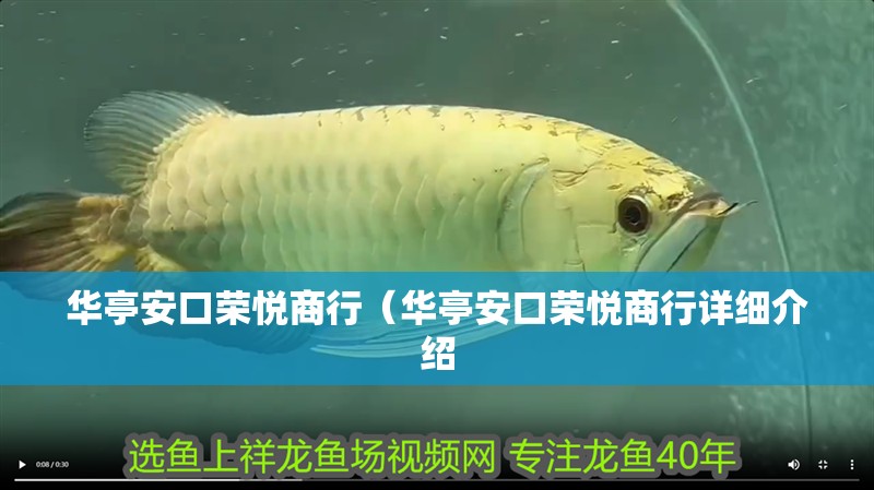 華亭安口榮悅商行（華亭安口榮悅商行詳細介紹