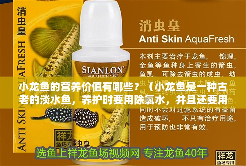 小龍魚的營養價值有哪些？（小龍魚是一種古老的淡水魚，養護時要用除氯水，并且還要用除氯水）