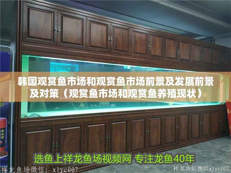 韓國觀賞魚市場和觀賞魚市場前景及發(fā)展前景及對策（觀賞魚市場和觀賞魚養(yǎng)殖現(xiàn)狀）