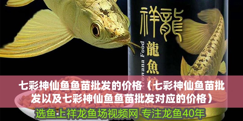 七彩神仙魚魚苗批發的價格（七彩神仙魚苗批發以及七彩神仙魚魚苗批發對應的價格）
