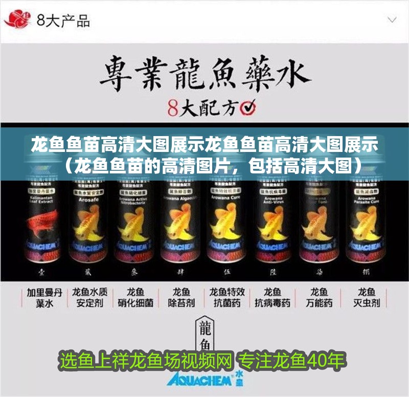 龍魚魚苗高清大圖展示龍魚魚苗高清大圖展示（龍魚魚苗的高清圖片，包括高清大圖）