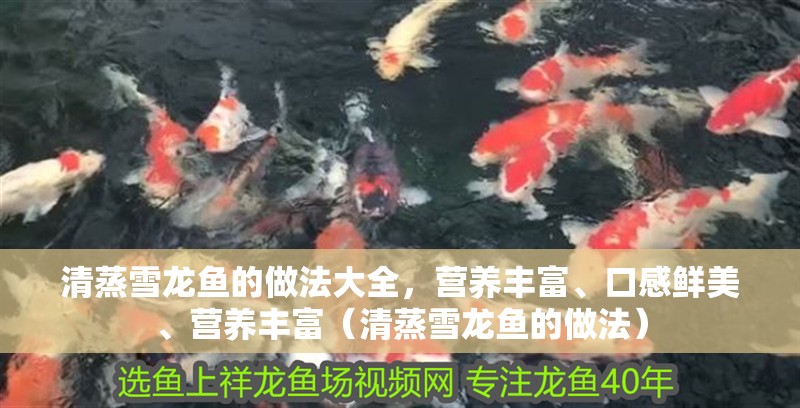清蒸雪龍魚的做法大全，營養豐富、口感鮮美、營養豐富（清蒸雪龍魚的做法） 清蒸雪龍魚的做法大全，營養豐富、口感鮮美、營養豐富（清蒸雪龍魚的做法） 觀賞魚百科 第2張
