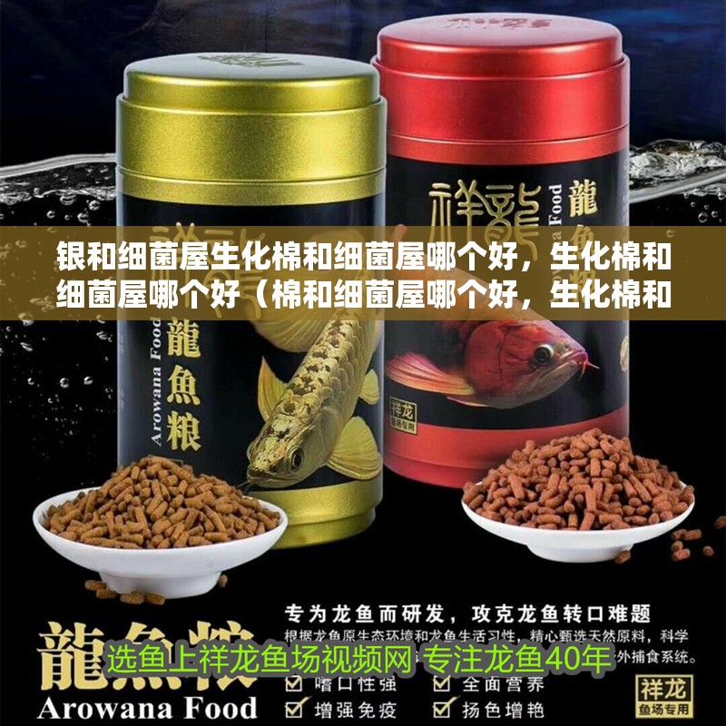 銀和細(xì)菌屋生化棉和細(xì)菌屋哪個(gè)好，生化棉和細(xì)菌屋哪個(gè)好（棉和細(xì)菌屋哪個(gè)好，生化棉和細(xì)菌屋哪個(gè)好，）
