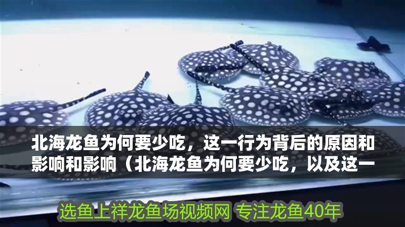 北海龍魚為何要少吃，這一行為背后的原因和影響和影響（北海龍魚為何要少吃，以及這一行為背后的原因和影響）