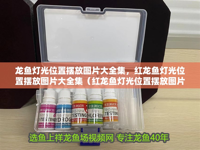 龍魚燈光位置擺放圖片大全集，紅龍魚燈光位置擺放圖片大全集（紅龍魚燈光位置擺放圖片大全集）