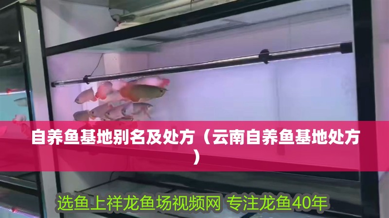 自養(yǎng)魚基地別名及處方（云南自養(yǎng)魚基地處方）