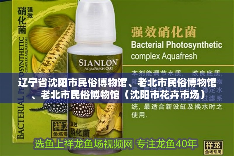 遼寧省沈陽市民俗博物館、老北市民俗博物館、老北市民俗博物館（沈陽市花卉市場）