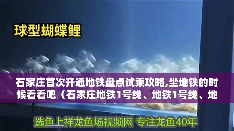 石家莊首次開通地鐵盤點試乘攻略,坐地鐵的時候看看吧（石家莊地鐵1號線、地鐵1號線、地鐵1號線試乘攻略）