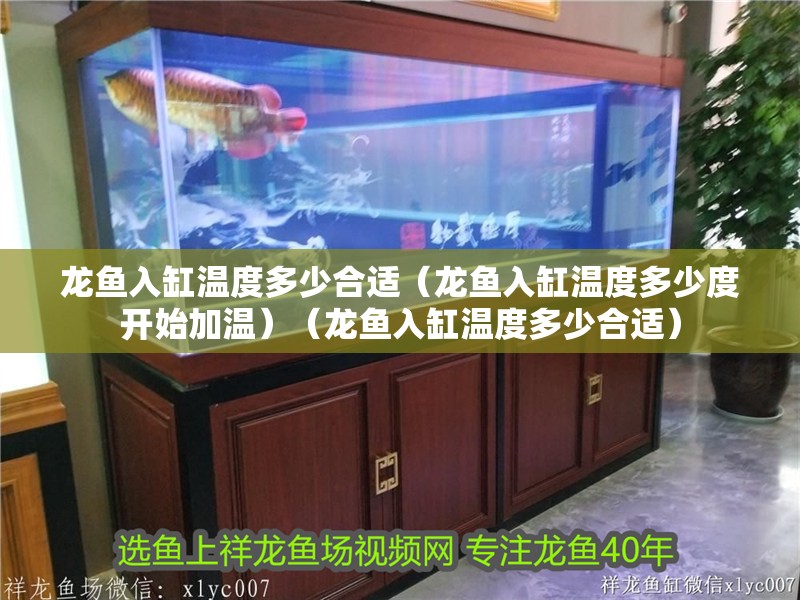 龍魚入缸溫度多少合適（龍魚入缸溫度多少度開始加溫）（龍魚入缸溫度多少合適）