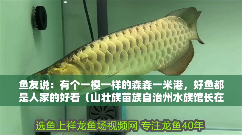 魚友說：有個一模一樣的森森一米港，好魚都是人家的好看（山壯族苗族自治州水族館長在10天的假期中，按照自己的喜好和習慣）